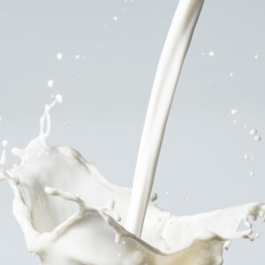 Fresh Milk